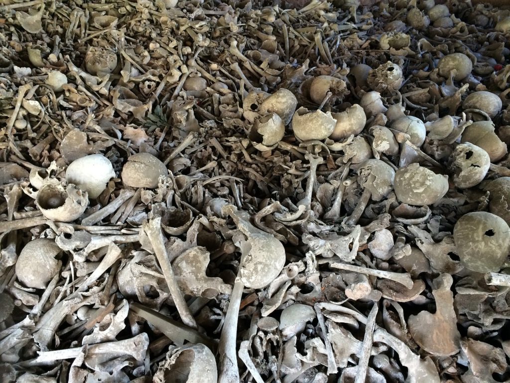 bone, skull, bones-664596.jpg